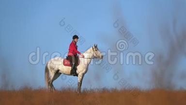 女人骑着马，在田野里拥抱。 慢动作。 侧视图